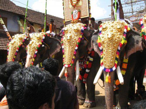 Nettipattam - elephant head cover, Kerala (elephant not included)